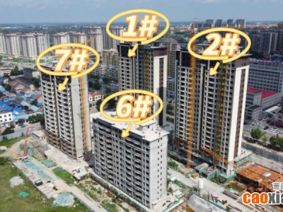 【中用·鉑悅府】8月工程進(jìn)度播報(bào)