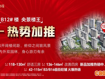 【云峰·中央公園】央景樓王 應市加推 熱銷全城