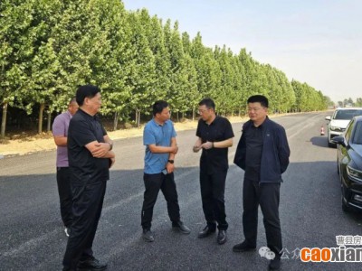 申傳立、李志耀調度莊青路提升改造工作